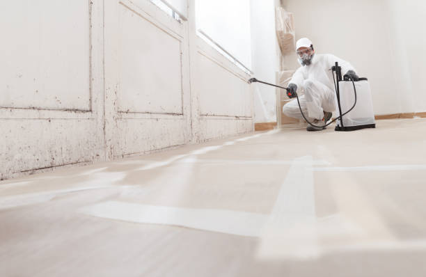 24/7 Emergency Attic Mold Remediation experts in Sparrows Point, MD